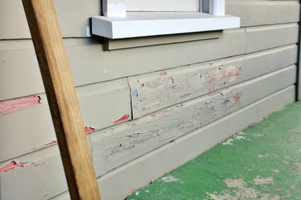 Best Wood Siding Installation  in USA